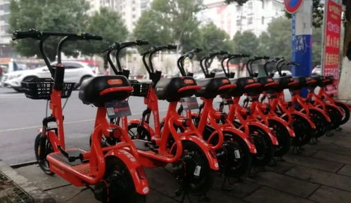 喜大普奔！共享電動(dòng)單車正式登陸都昌，綠色出行再添新選擇